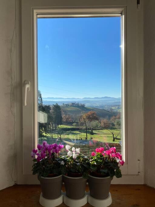 Villa Ginevri, La Casa Vacanze Immersa Nel Verde Mondavio Buitenkant foto